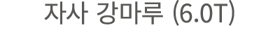 자사 강마루 (6.0T)